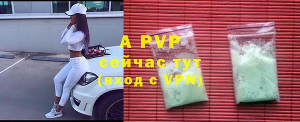 гашик Белокуриха