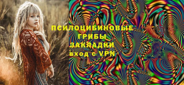 гашик Белокуриха