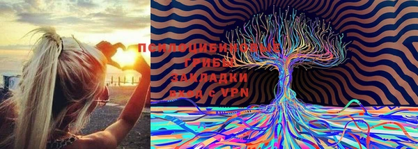 гашик Белокуриха