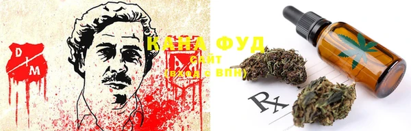 гашик Белокуриха